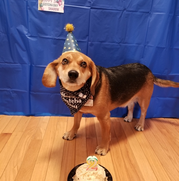 Meet your Posher, Lori - Picture 1 of 1